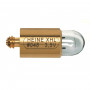 Heine XHL Xenon halogen Bulbs 3.5V
