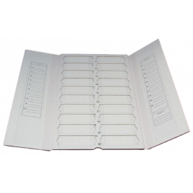 Storage mailer for microscope slides of 20 places