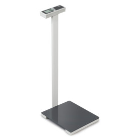 Kern MPK 200K-1P digital floor scale with column