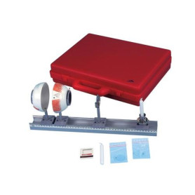 3B Scientific physical eye model