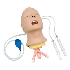 Life/form Advanced Airway Larry airway management trainer head