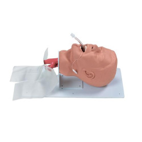 Simulaids adult airway management trainer head