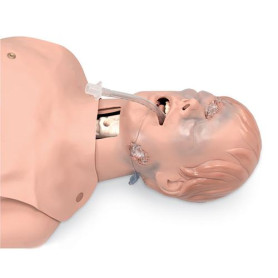 Simulaids critical airway management trainer